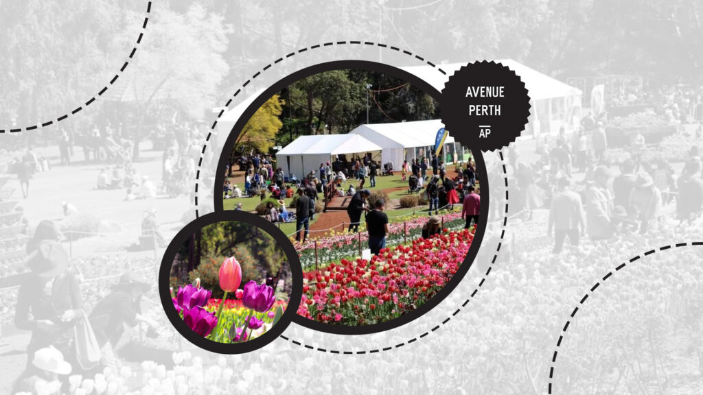 the-araluen-botanic-park-festival