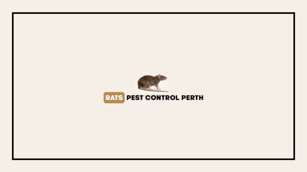 rats-pest-control-perth