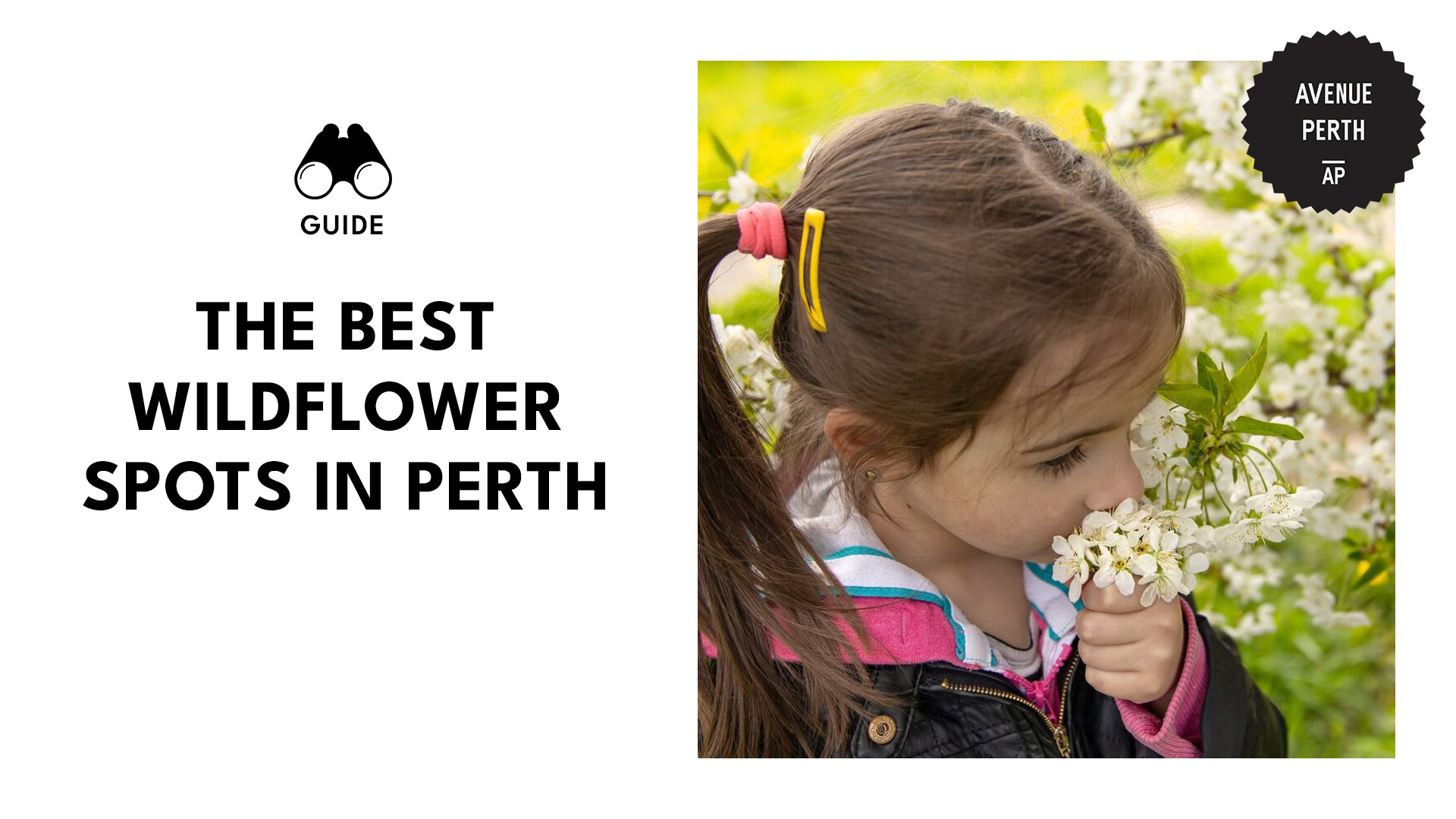 best-wildflower-spots-perth-banner