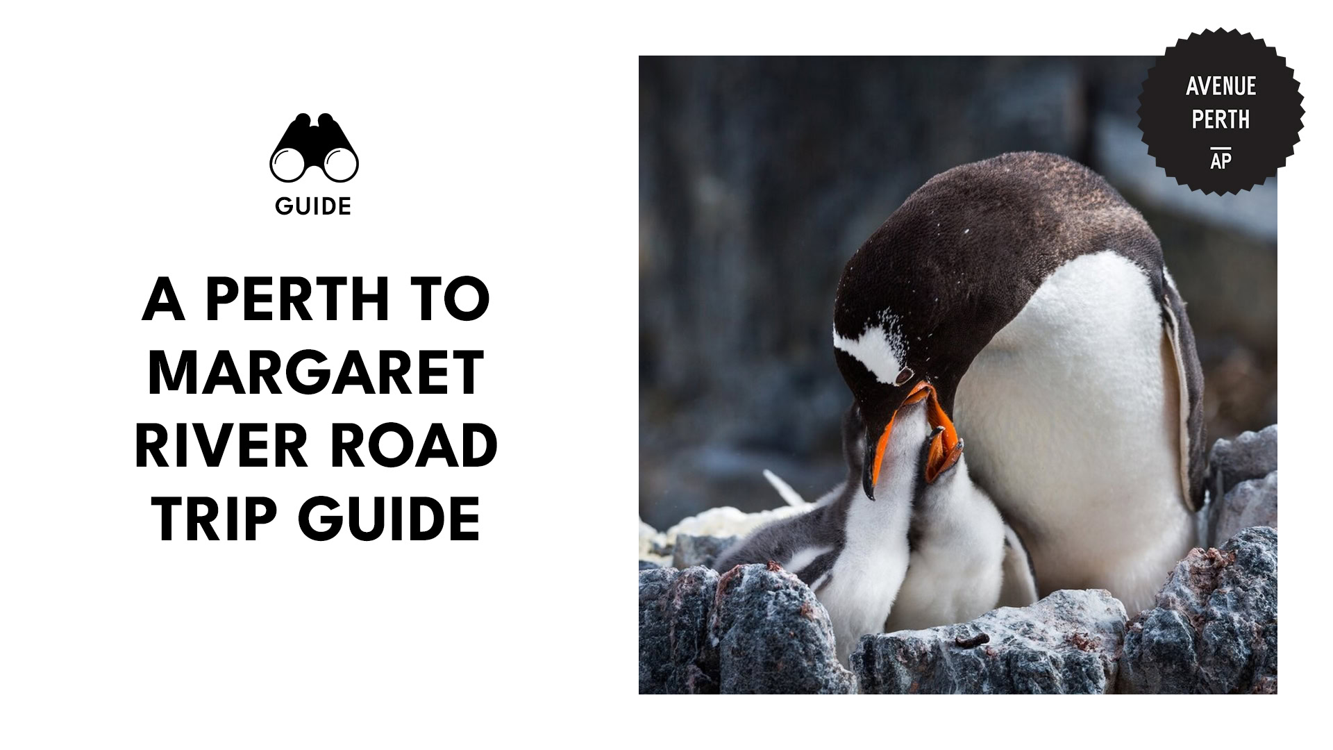 perth-to-margaret-river-road-trip-guide-banner