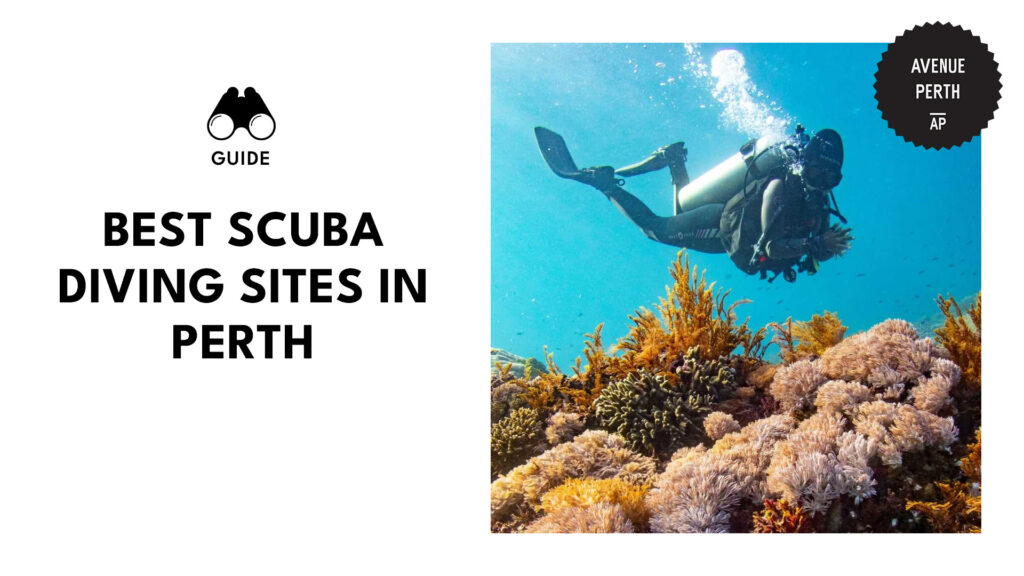 best-scuba-diving-sites-perth-banner